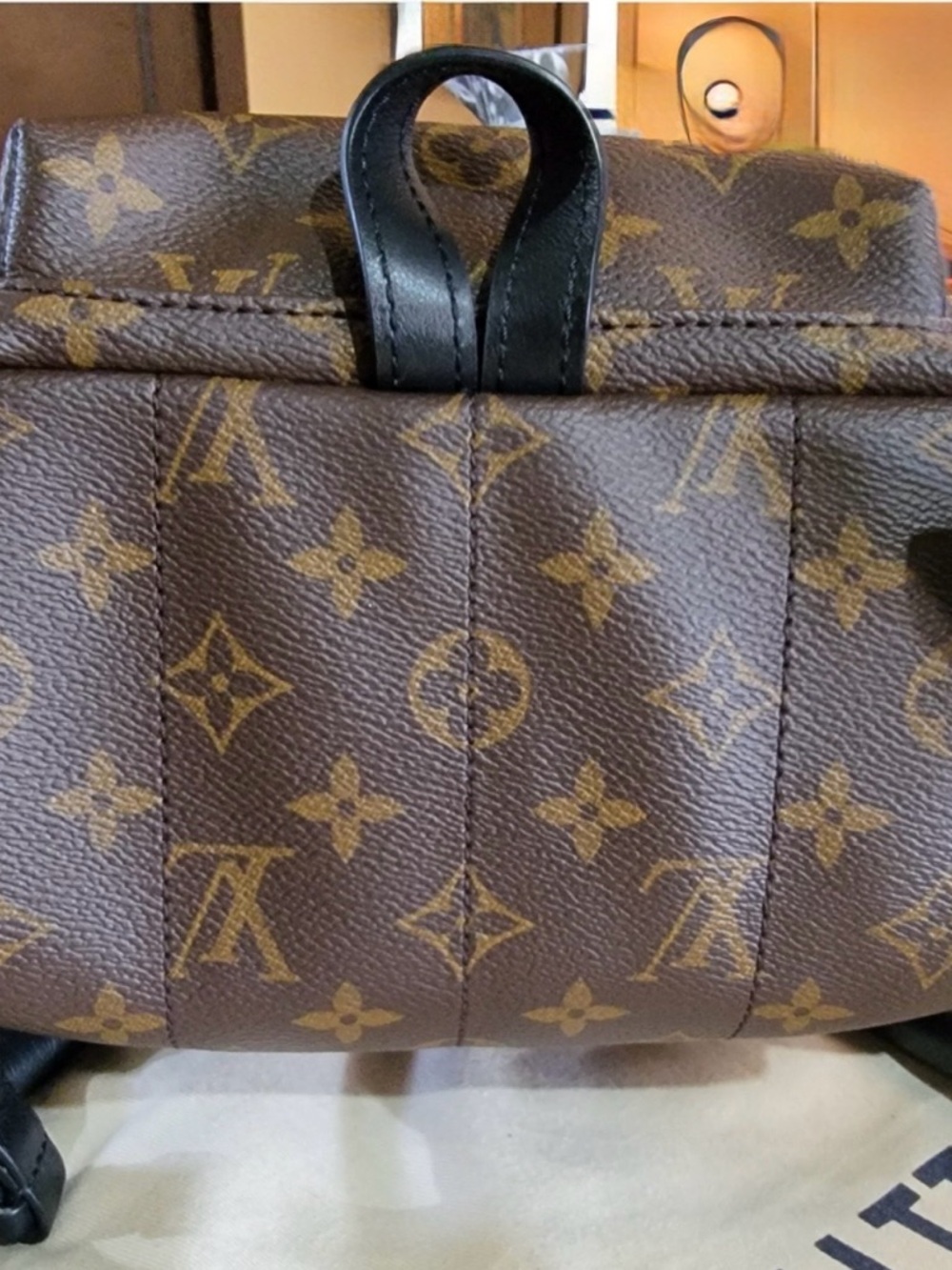 Louis Vuitton Palm Springs PM Backpack Monogram Canvas Brown Timeless Gift - Picture 5 of 15